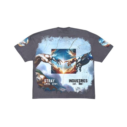 Stray modern sistine chapel tee